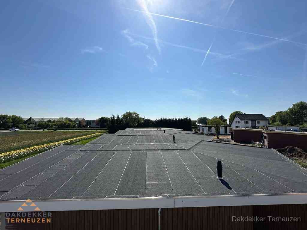 Groot plat dak met bitumen dakbedekking op bedrijfspand in Terneuzen