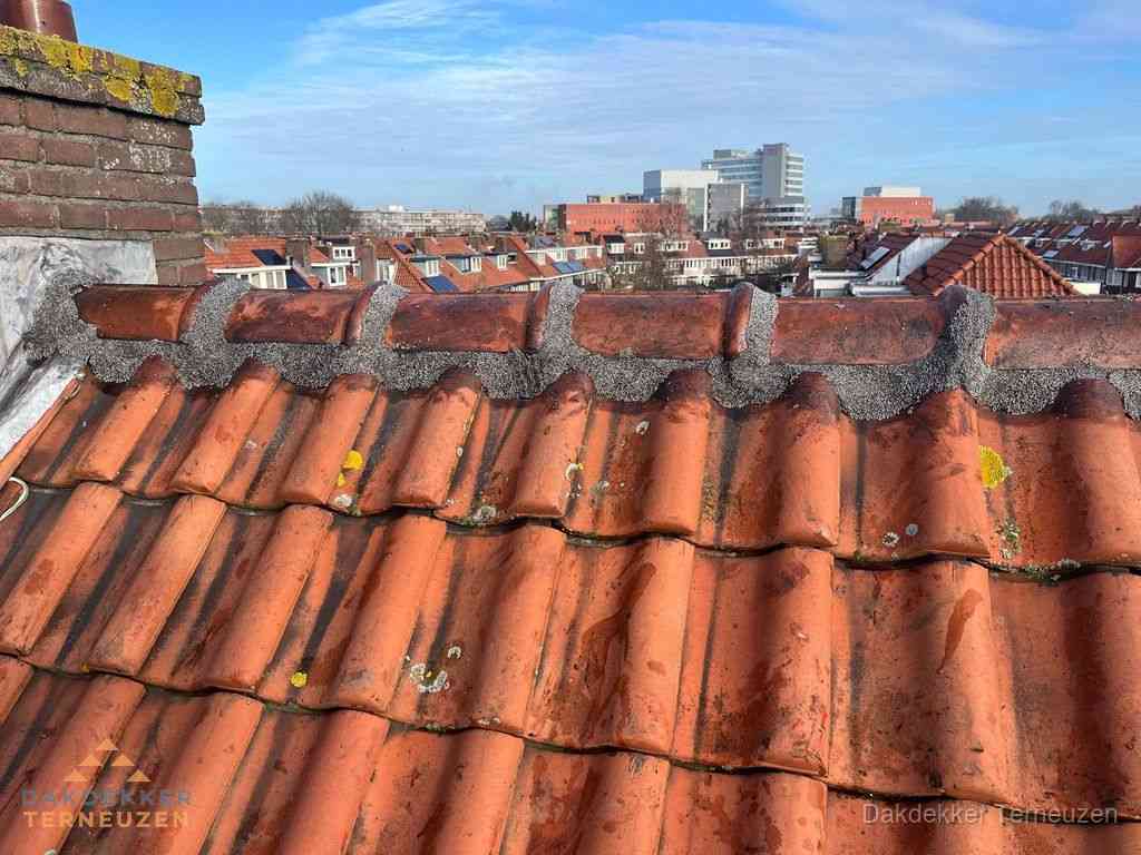 Nieuw bitumen plat dak met uitzicht over woonwijk in Terneuzen