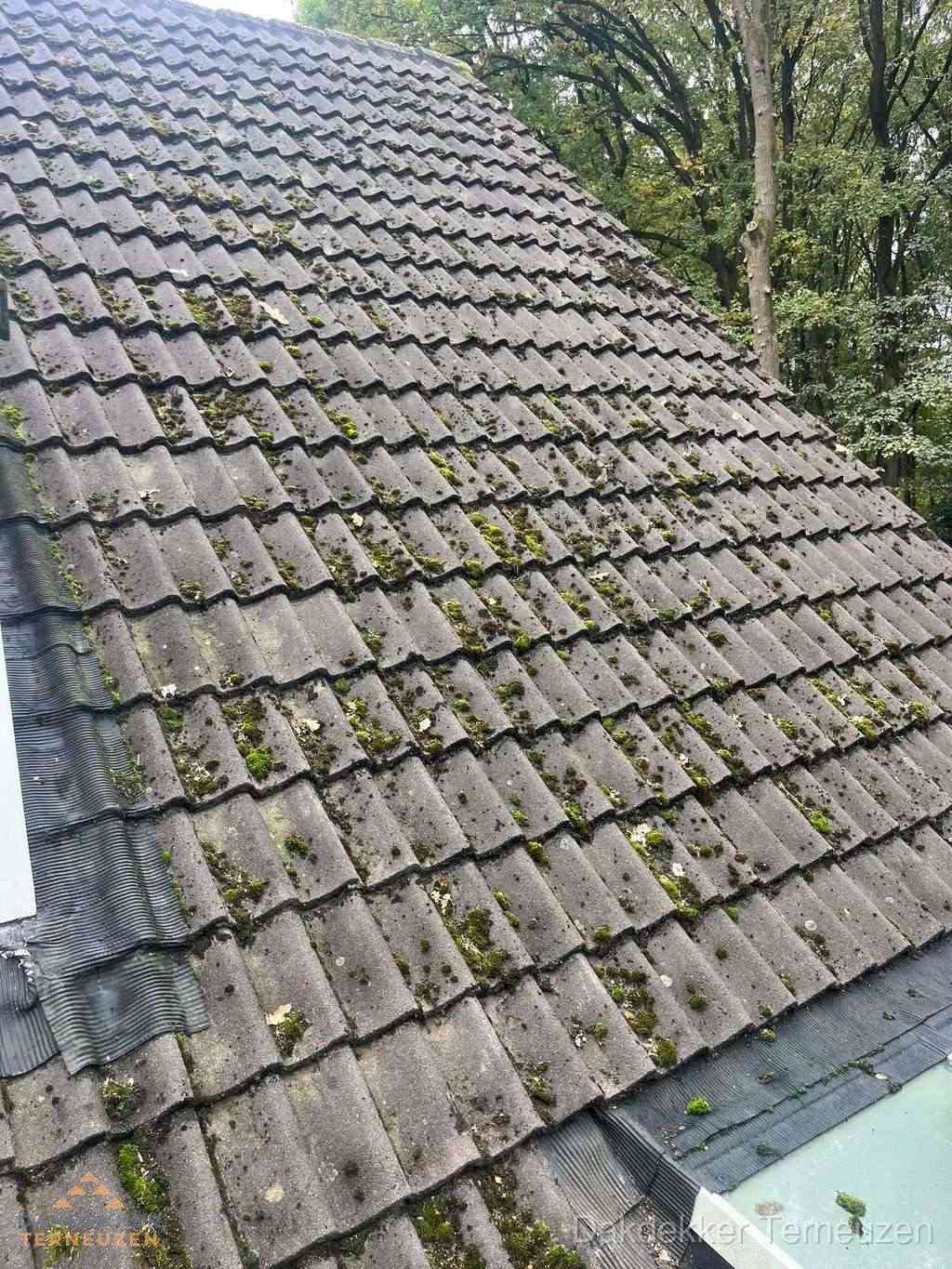 Verweerd pannendak met mosgroei dat renovatie nodig heeft in Terneuzen