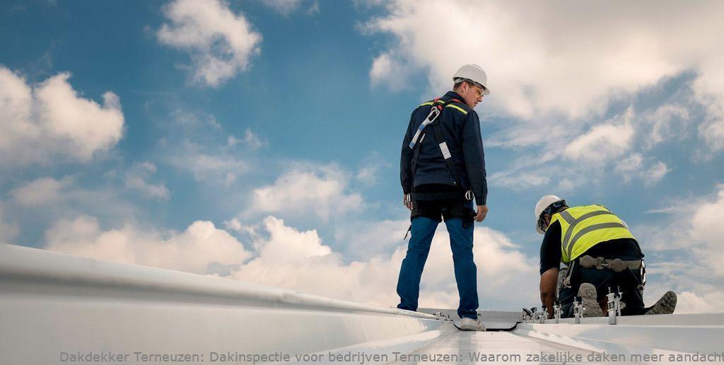 Dakinspectie Voor Bedrijven Terneuzen