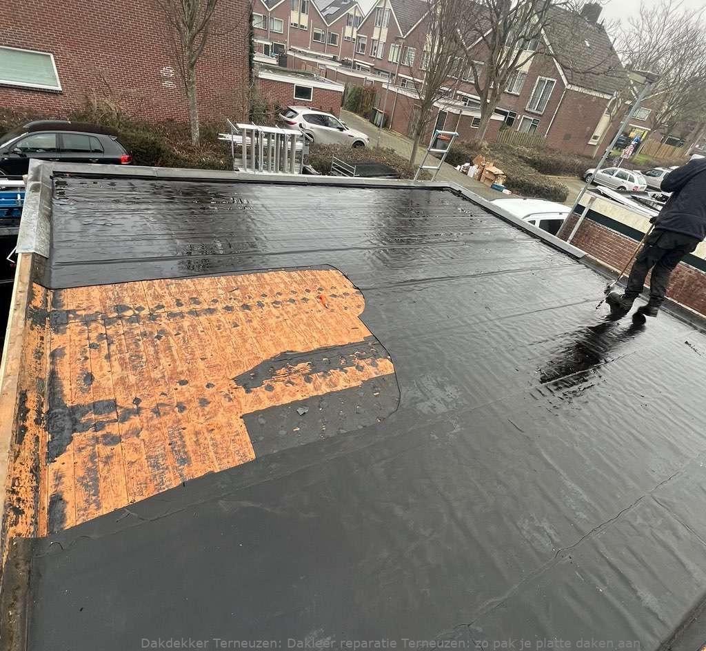 Dakleer Reparatie Terneuzen