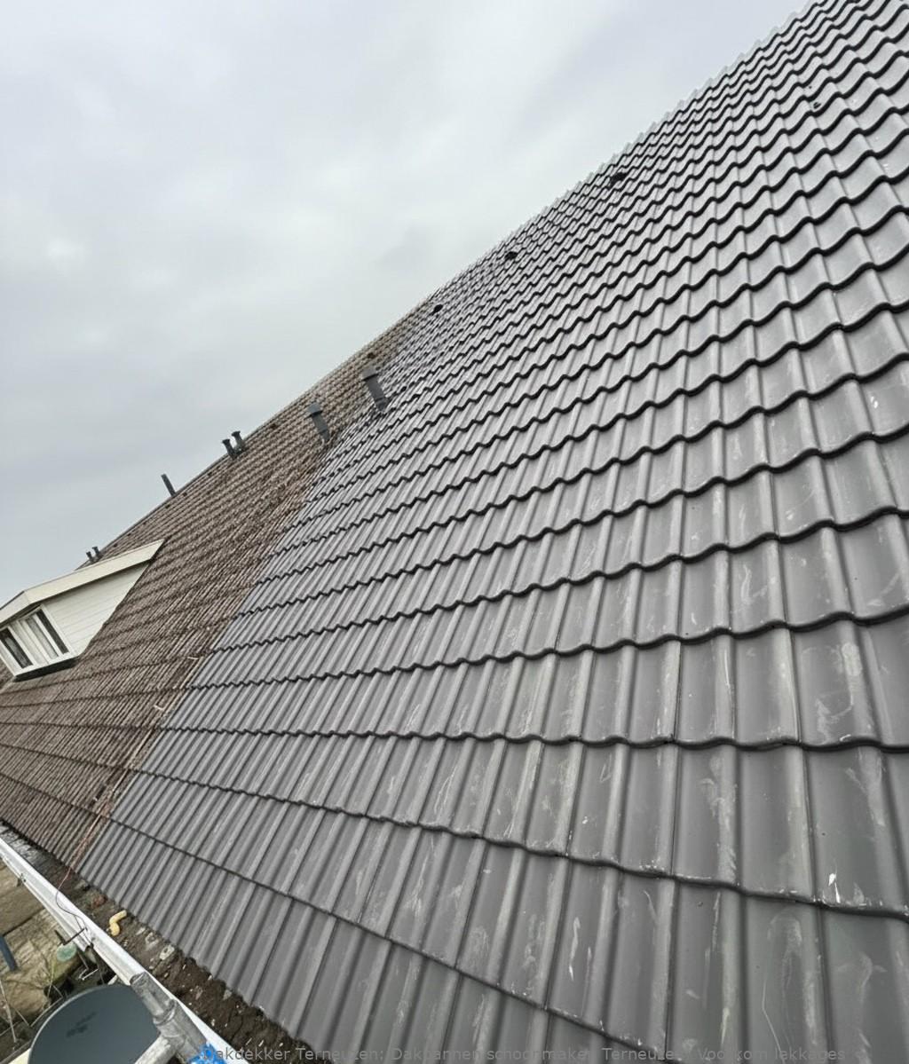 Dakpannen Schoonmaken Terneuzen