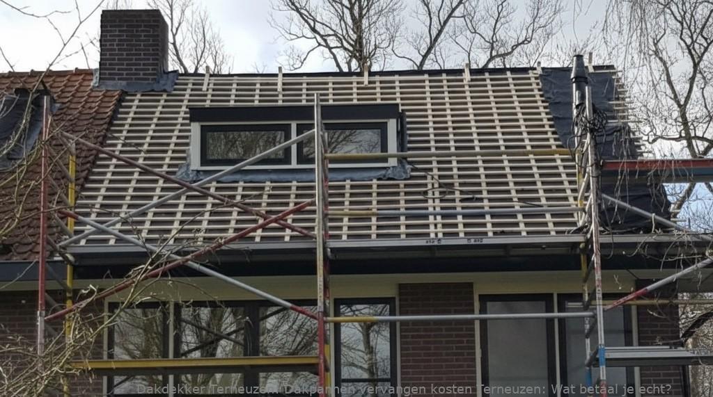 Dakpannen Vervangen Kosten Terneuzen