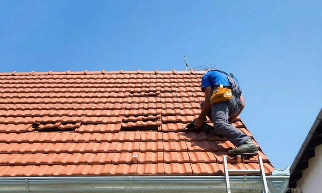 Dakreparatie En Verzekering Terneuzen