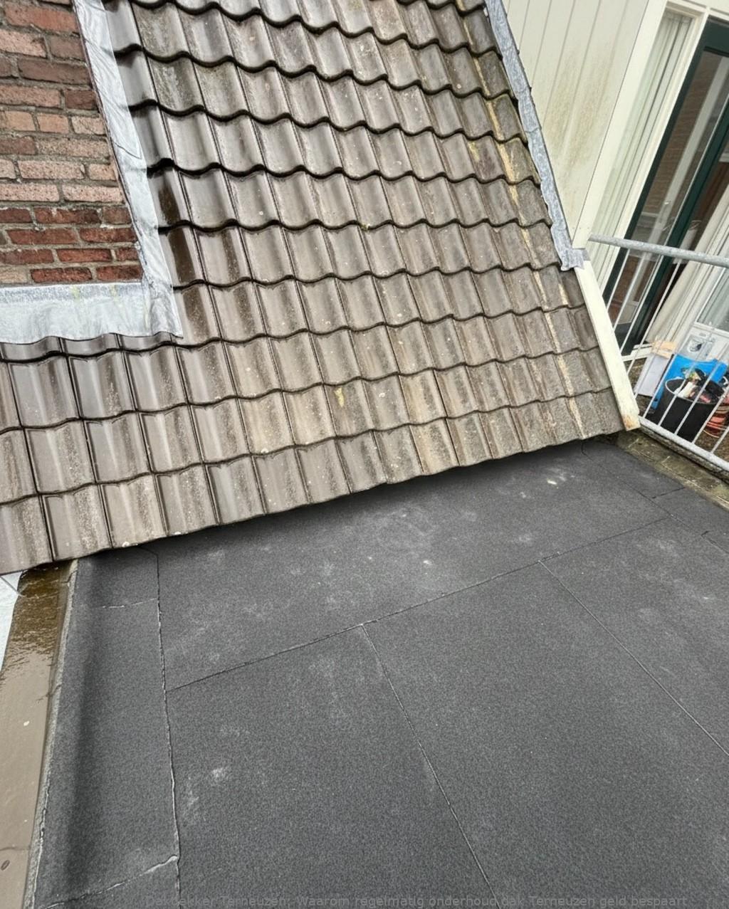 Onderhoud Dak Terneuzen