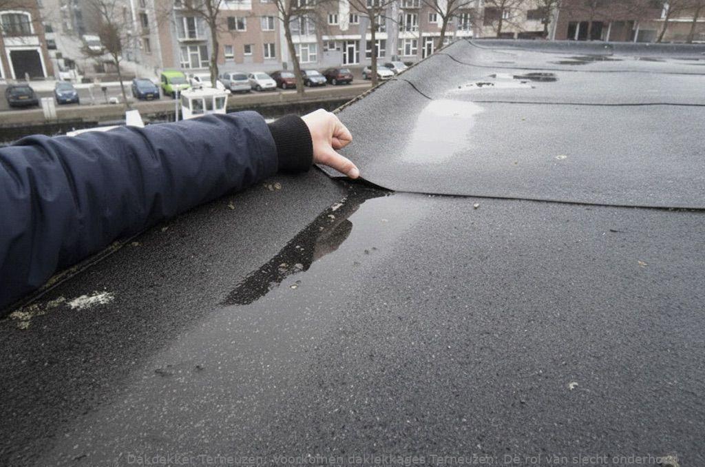 Voorkomen Daklekkages Terneuzen